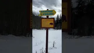 Thumbnail: România is not for beginners