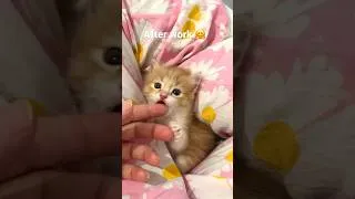 Thumbnail: After Crochet Knitting😍😊