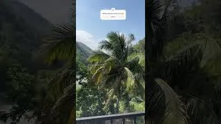 Thumbnail: Amazing morning😊❤️🌸Asmr, A very beautiful and spectacular view