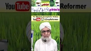 Thumbnail: Best products for Rice Hopper || Crop Reformer