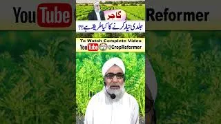 Thumbnail: Early production of Carrot in Pakistan #cropreformer