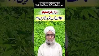 Thumbnail: Cultivation Time of Berseem in 2025 || Crop Reformer