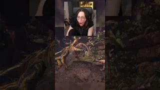 Thumbnail: you can't say that