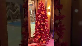 Thumbnail: Merry Christmas. #carnivaljubilee #cruise