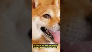 Thumbnail: Shiba Inu Coin (SHIB) Futures Trading Volume up 78x in Seven Days - CryptoNewsAlley.com #shorts