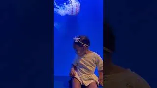 Thumbnail: Sunday Funday with my favorite girl 💕 #aquarium