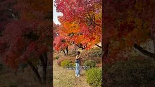 Thumbnail: My first mini vlog attempt 😅 exploring one of my favorite places in seoul: yeonnamdong ✨