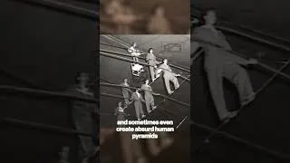 Thumbnail: Tightrope Walking, 121ft Above Ground