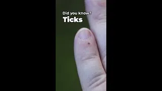 Thumbnail: A tick bite can do what?!
