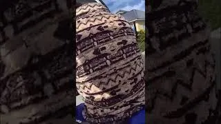 Thumbnail: Police Radio Chatter & Strange Civilian Interaction Caught On Cam! #shorts