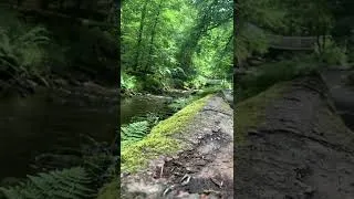 Thumbnail: Lydford Gorge
