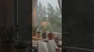Thumbnail: Rainy Day Study Ambience Cozy Focus Loop | Relaxing Rain Sounds