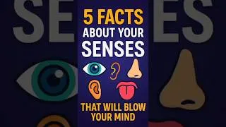 Thumbnail: 5 Crazy Facts About Your Senses 👀👃👂