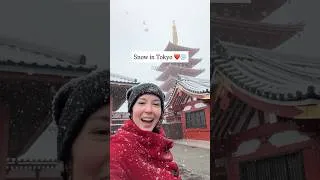 Thumbnail: The Most Snow I've Ever Seen In Tokyo!
