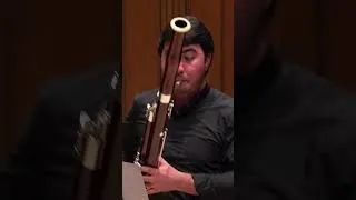 Thumbnail: Fall in love with the bassoon in less than 60 seconds 😍