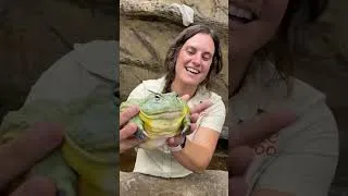 Thumbnail: Before & After Animals Growing Up. Amazing Animal Transformation #animalsofyoutube #animals #shorts