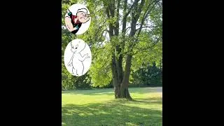 Thumbnail: Our 3 Favorite Cartoons When We Weee Kids!