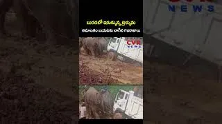 Thumbnail: బురదలో ఇరుక్కున్న ట్రక్కును అమాంతం బయటకు లాగిన గజరాజులు | Virul Video | CVR NEWS