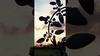 Thumbnail: Spinner at Sunset.