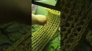 Thumbnail: the lizard king demans offerings