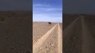 Thumbnail: Cycling Morocco #morocco