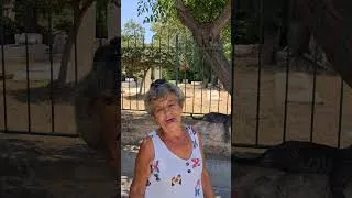 Thumbnail: THE PAPHOS CAT LADY.