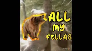 Thumbnail: all my fellas #bears