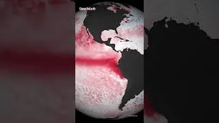 Thumbnail: #marine #heatwaves explained