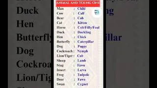 Thumbnail: Know about Animals & their Kids #analogy #logicalreasoning #reasoning #reasoningquestions #dibyasir