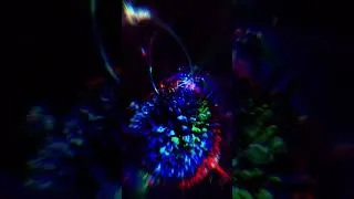 Thumbnail: Pure 'Digital Love' from Malta XX #daftpunk #retrospective #celebration #malta #shorts #daftfunklive