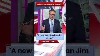 Thumbnail: CNN Investigates Absence of Black Crows in White Seagull Beaches