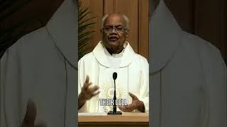 Thumbnail: A Homily Moment with Father Michael Coutts: Wordly Distractions