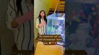 Thumbnail: My Aquarium #aquarium #aquariumfish #aquariumsetup #aquariumfishmarket #dakshagowda