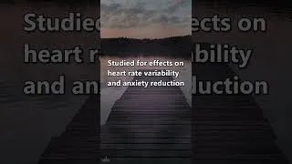 Thumbnail: Can a Sound Make You Breathe Slower? 5 Second Breathing Cycle