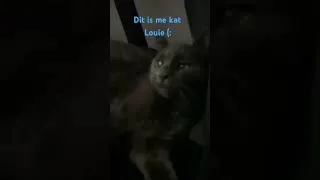 Thumbnail: Louie