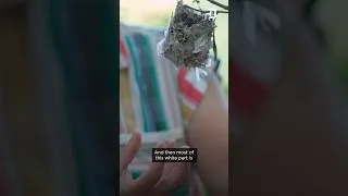 Thumbnail: Birds are building nests with plastic trash