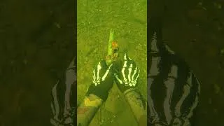 Thumbnail: Would you have found this underwater?