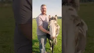 Thumbnail: The battle scars of breeding season