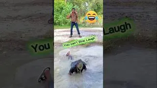 Thumbnail: Funny Video 😂 try not to laugh challenge 🤣 Best Comedy Videos