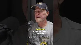 Thumbnail: The grizzly gave no warning – then took his jaw ￼