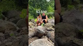 Thumbnail: $2,500 To See Komodo Dragons!
