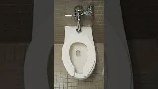 Thumbnail: Single Toilet Restroom @ Fresh Meadows Kohl