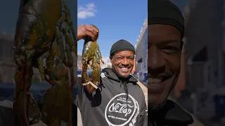 Thumbnail: Cooking for Strangers in Baltimore🦞