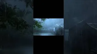 Thumbnail: Rainstorm at Night #rainandthundersounds #rainsoundsforsleeping #fallasleepquickly #shorts