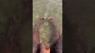 Thumbnail: Kisa ki pi rich pase sa🇭🇹