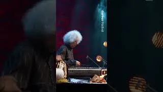 Thumbnail: This instrument has 100 STRINGS... and he plays it with mallets! 🤯 wooden spoons? #shorts
