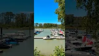 Thumbnail: River House Pub View