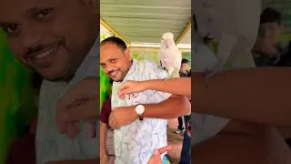 Thumbnail: Darshika ke papa ne parrot 🦜 kaha bitha liya🔥🔥🔥😂😂😂#shorts #viral #youtubeshorts #ytshorts