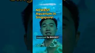 Thumbnail: NEWEST and BIGGEST Aquarium in Singapore #shorts