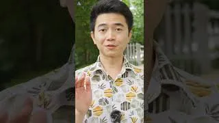 Thumbnail: Are They Dangerous? Singapore MOST Common Ants #shorts